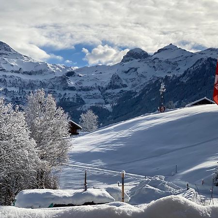 Bueehl Lenk Apartment Bagian luar foto